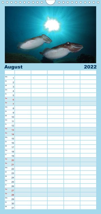Produktbild: Tauchen, Fische und Meer - Familienplaner hoch (Wandkalender 2022 , 21 cm x 45 cm, hoch)