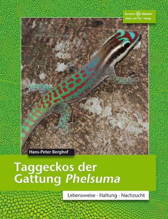 Produktbild: Taggeckos der Gattung Phelsuma