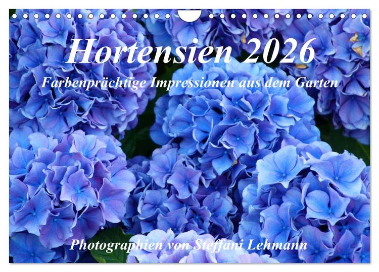 Produktbild: Hortensien 2026. Farbenpr&auml;chtige Impressionen aus dem Garten (Wandkalender 2026 DIN A4 quer), CALVENDO Monatskalender