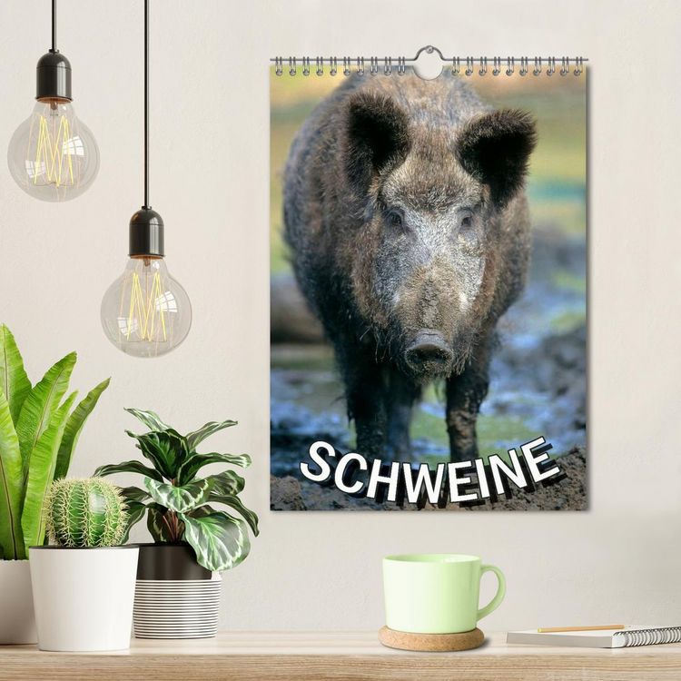Produktbild: Schweine 2026 (Wandkalender 2026 DIN A4 hoch), CALVENDO Monatskalender