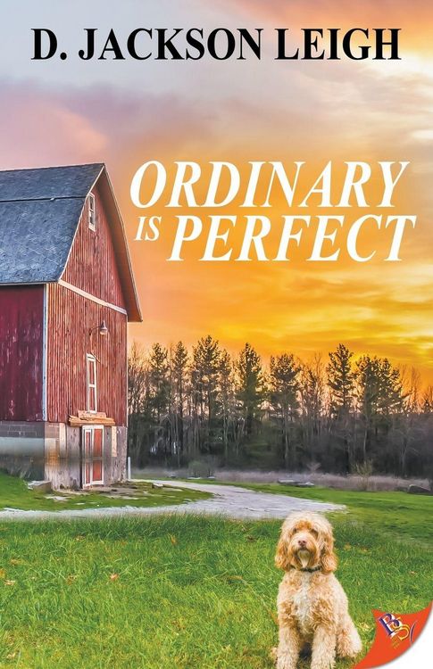 Produktbild: Ordinary Is Perfect