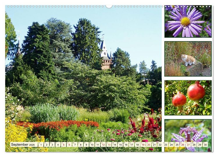 Produktbild: Im Hermannshof - Ein Traumgarten in Weinheim (hochwertiger Premium Wandkalender 2026 DIN A2 quer), Kunstdruck in Hochglanz