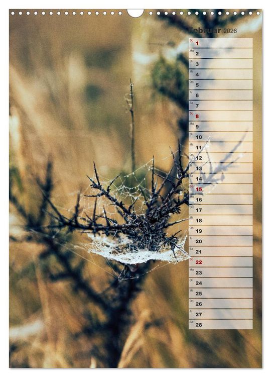 Produktbild: Kalender - Natur im Detail (Wandkalender 2026 DIN A3 hoch), CALVENDO Monatskalender