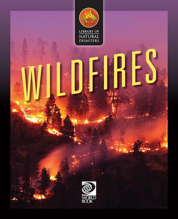 Produktbild: Wildfires