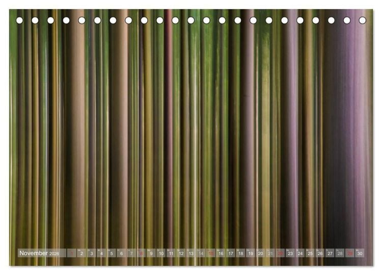 Produktbild: Atelier Wald - gemalt mit Licht (Tischkalender 2026 DIN A5 quer), CALVENDO Monatskalender
