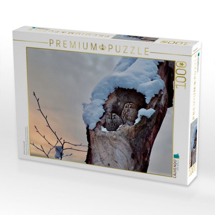 Produktbild: CALVENDO Puzzle Winter im Kauzwald | 1000 Teile Lege-Gr&ouml;&szlig;e 64x48cm Foto-Puzzle f&uuml;r gl&uuml;ckliche Stunden