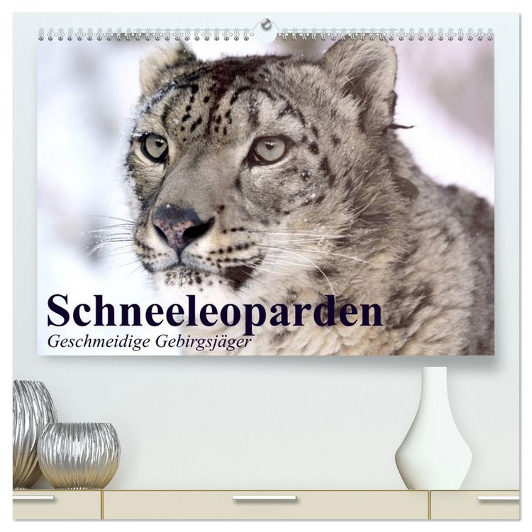 Produktbild: Schneeleoparden. Geschmeidige Gebirgsj&auml;ger (hochwertiger Premium Wandkalender 2026 DIN A2 quer), Kunstdruck in Hochglanz
