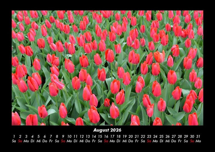 Produktbild: Blumenzauber 2026 Fotokalender DIN A3