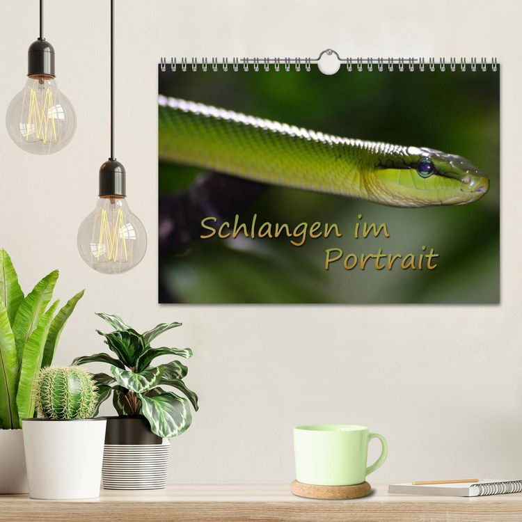 Produktbild: Schlangen im Portrait (Wandkalender 2026 DIN A4 quer), CALVENDO Monatskalender