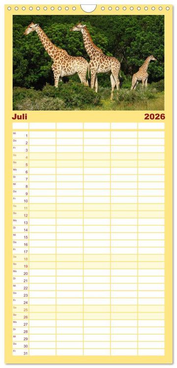 Produktbild: Familienplaner 2026 - Port Elizabeth - S&uuml;dafrika - Impressionen einer Stadt in Bildern mit 5 Spalten (Wandkalender, 21 x 45 cm) CALVENDO