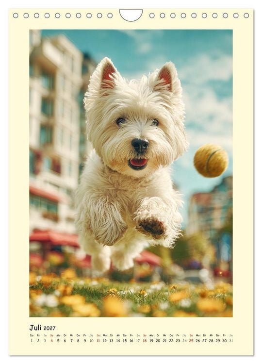 Produktbild: S&uuml;&szlig;er Wuschelkopf. West Highland White Terrier Momente (Wandkalender 2027 DIN A4 hoch), CALVENDO Monatskalender