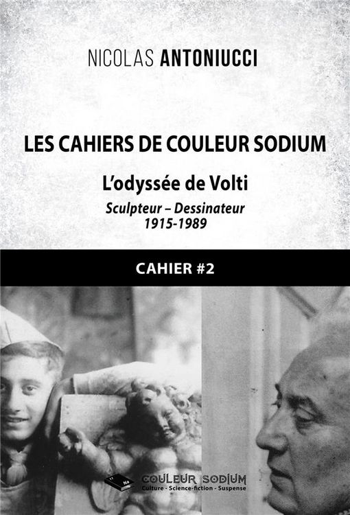 Produktbild: Les cahiers de couleur sodium