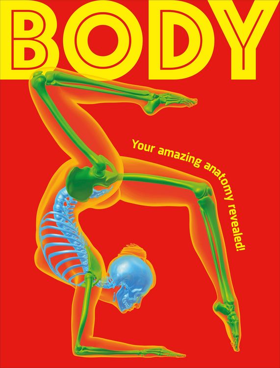 Produktbild: Body
