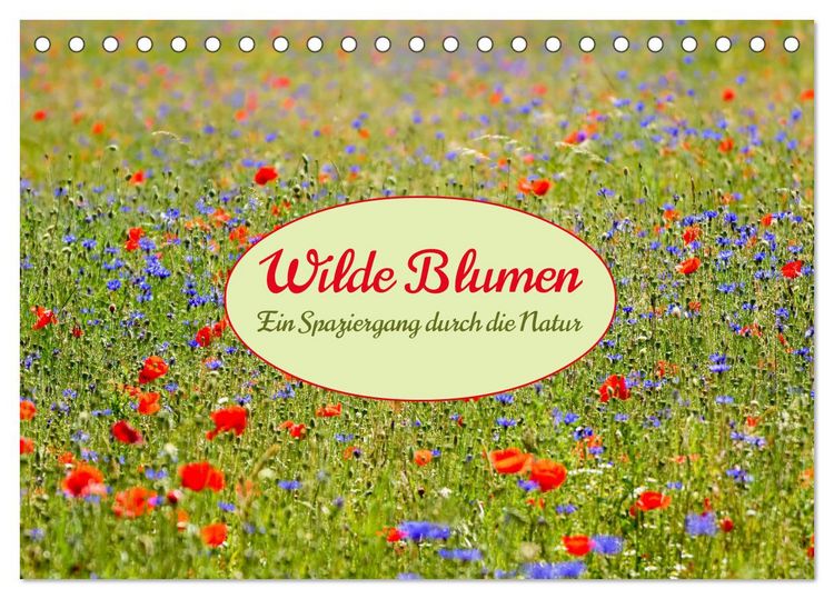 Produktbild: Wilde Blumen - ein Spaziergang durch die Natur (Tischkalender 2026 DIN A5 quer), CALVENDO Monatskalender