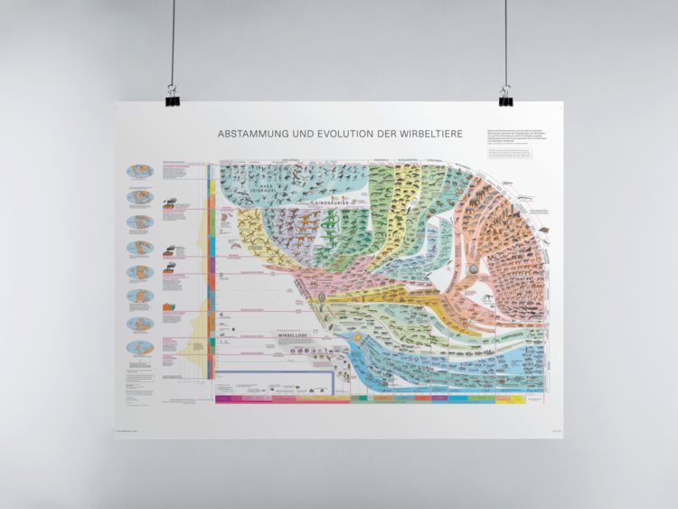 Produktbild: Wirbeltieratlas (Poster)