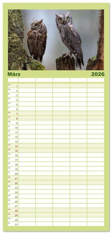 Produktbild: Familienplaner 2026 - Eulen - Fl&uuml;gel der Nacht mit 5 Spalten (Wandkalender, 21 x 45 cm) CALVENDO