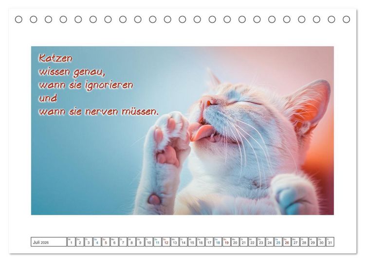 Produktbild: Katzenpower (Tischkalender 2026 DIN A5 quer), CALVENDO Monatskalender