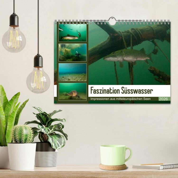 Produktbild: Faszination S&uuml;sswasser (Wandkalender 2026 DIN A4 quer), CALVENDO Monatskalender