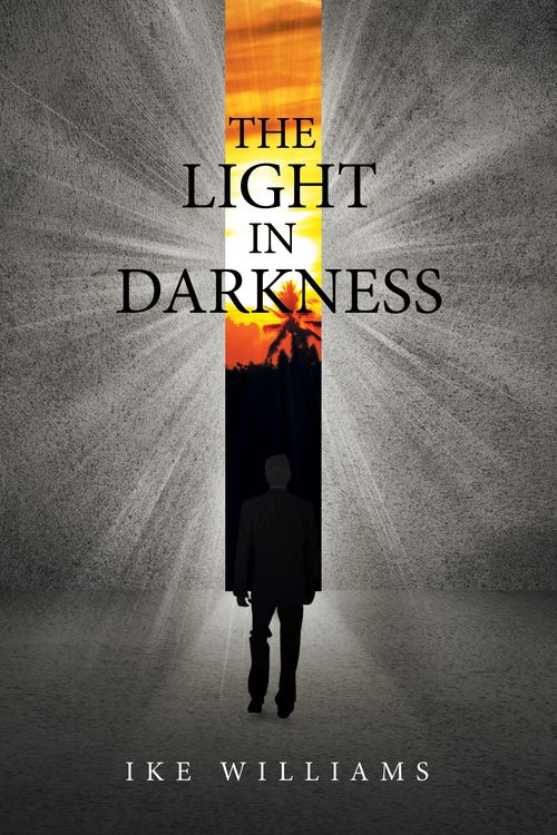 Produktbild: The Light in Darkness