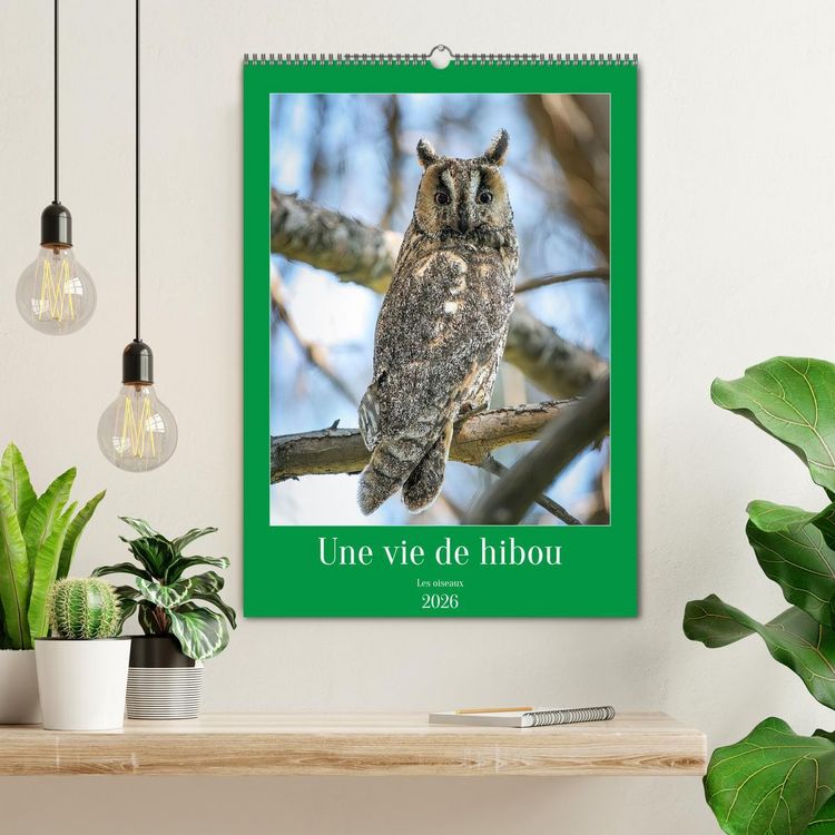 Produktbild: Une vie de hibou les oiseaux (Calendrier mural 2026 DIN A2 horizontal), CALVENDO calendrier mensuel