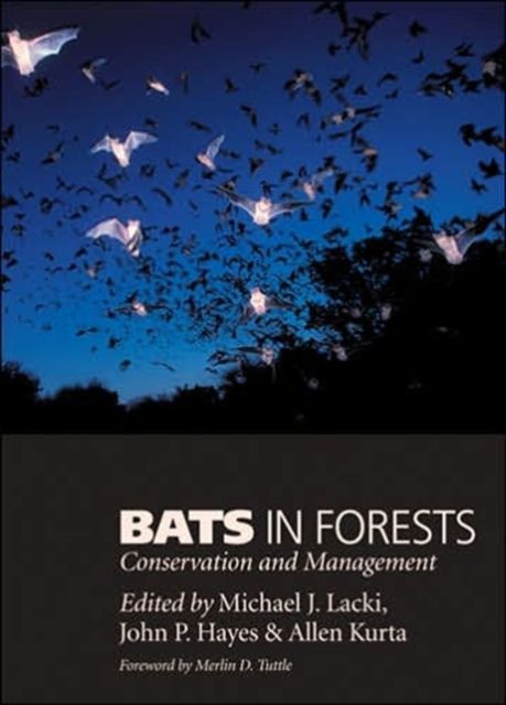 Produktbild: Bats in Forests