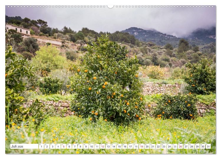 Produktbild: Emotionale Momente: Orangen & Zitronen. (Wandkalender 2026 DIN A2 quer), CALVENDO Monatskalender