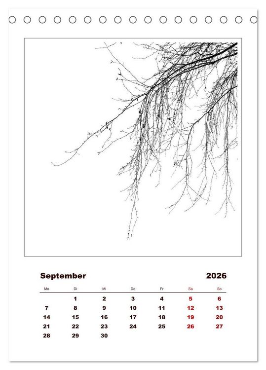 Produktbild: LignoGrafica - Muster und Strukturen der B&auml;ume (Tischkalender 2026 DIN A5 hoch), CALVENDO Monatskalender