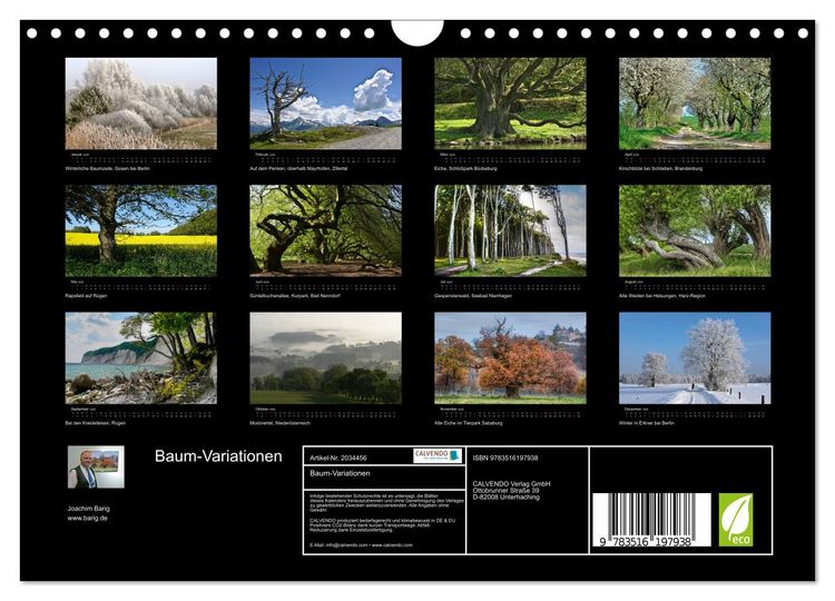 Produktbild: Baum-Variationen (Wandkalender 2026 DIN A4 quer), CALVENDO Monatskalender