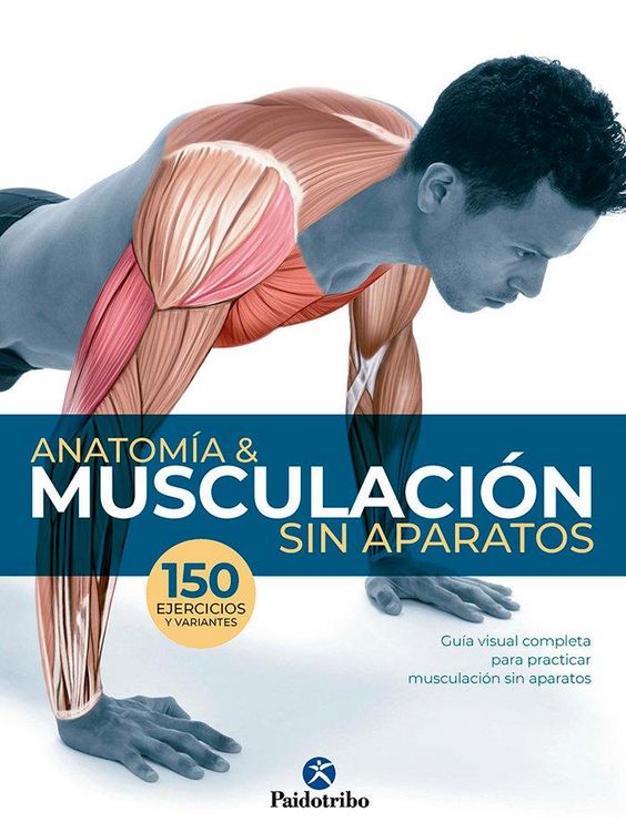 Produktbild: Anatom&iacute;a & musculaci&oacute;n sin aparatos