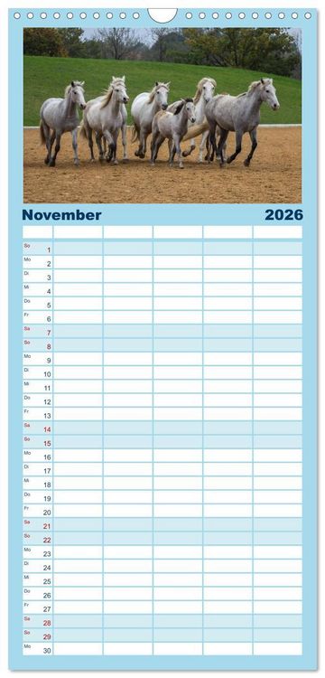 Produktbild: Familienplaner 2026 - Wei&szlig;e Pferde der Camargue in Bayern mit 5 Spalten (Wandkalender, 21 x 45 cm) CALVENDO