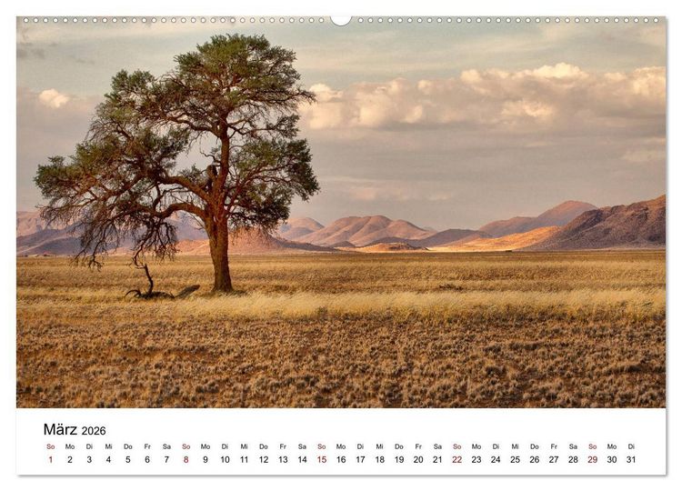 Produktbild: B&auml;ume in Namibias Landschaften (hochwertiger Premium Wandkalender 2026 DIN A2 quer), Kunstdruck in Hochglanz