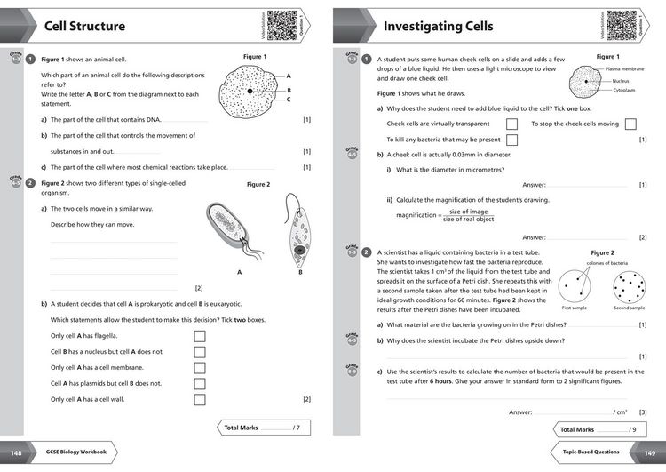 Produktbild: AQA GCSE 9-1 BIOLOGY_GCSE GRAD