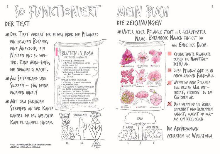 Produktbild: Ich sehe was, was ich nicht kenn&acute;