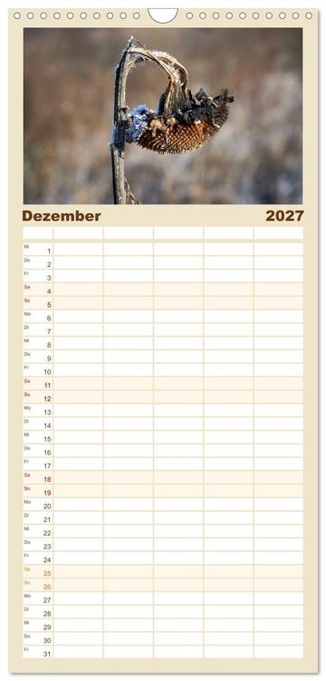 Produktbild: Familienplaner 2027 - Verbl&uuml;hte Sch&ouml;nheiten mit 5 Spalten (Wandkalender, 21 x 45 cm) CALVENDO