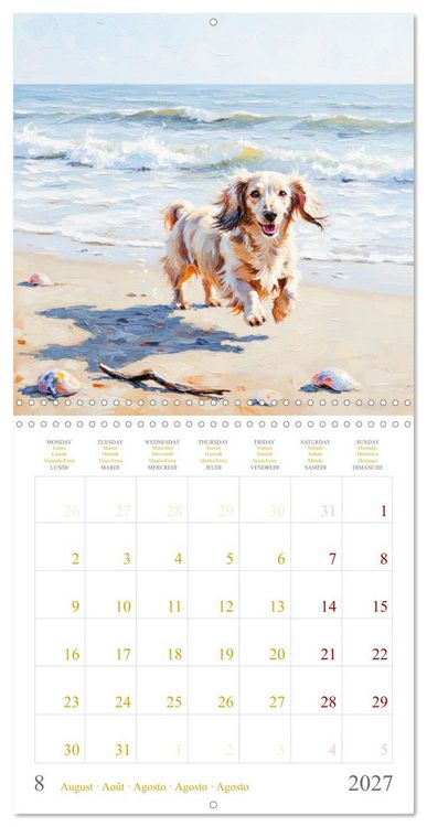 Produktbild: Dachshund Happiness (Wall Calendar 2027 12 &times; 12 Inch) CALVENDO 12 Month Wall Calendar