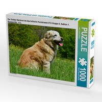 Produktbild: CALVENDO Puzzle Der Golden Retriever ist eine britische Hunderasse (FCI-Gruppe 8, Sektion 1, Standard Nr. 111). | 1000 Teile Lege-Gr&ouml;&szlig;e 64x48cm Foto-P