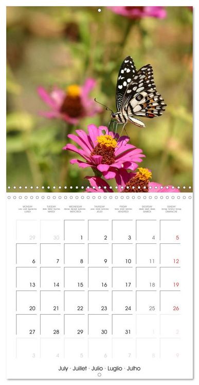 Produktbild: People's Democratic Republic - Laos (Wall Calendar 2026 12 &times; 12 Inch) CALVENDO 12 Month Wall Calendar