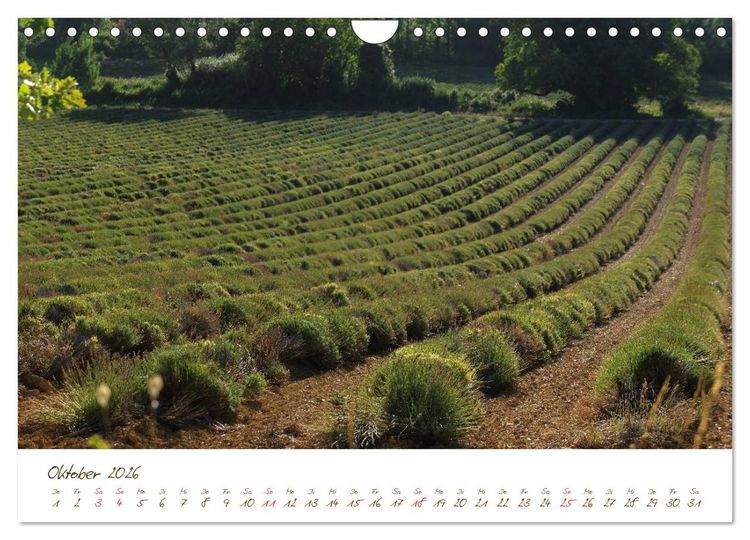 Produktbild: Provence, Frankreich (Wandkalender 2026 DIN A4 quer), CALVENDO Monatskalender