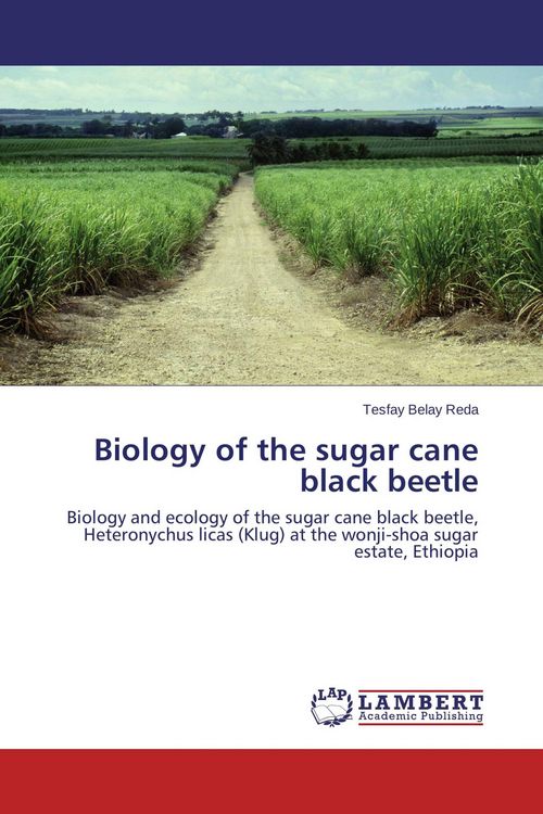 Produktbild: Biology of the sugar cane black beetle