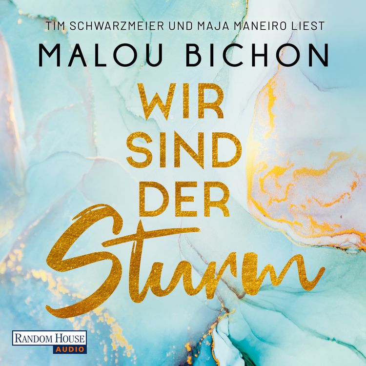 Produktbild: Wir sind der Sturm