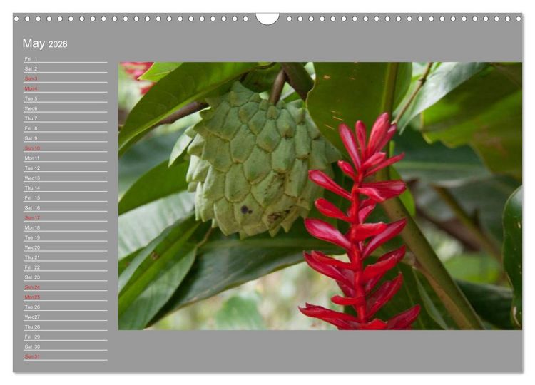 Produktbild: Philippines Colorful Life (Wall Calendar 2026 DIN A3 landscape), CALVENDO 12 Month Wall Calendar