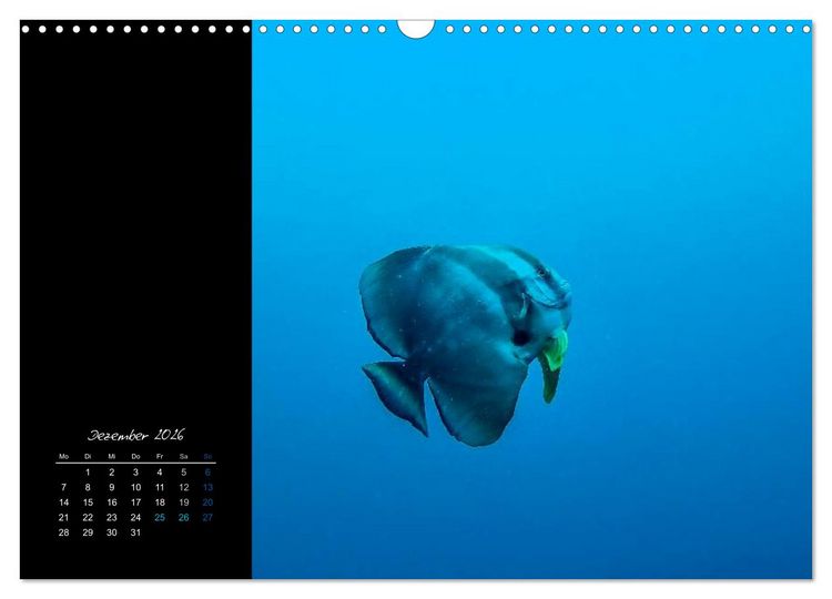Produktbild: Malediven - dem Himmel so nah (Wandkalender 2026 DIN A3 quer), CALVENDO Monatskalender
