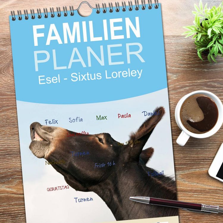 Produktbild: Familienplaner 2026 - Esel - Sixtus Loreley mit 5 Spalten (Wandkalender, 21 x 45 cm) CALVENDO
