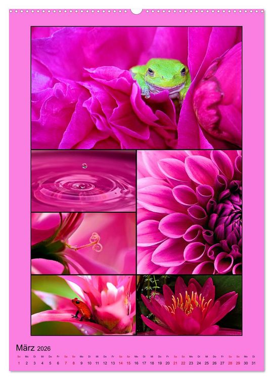 Produktbild: Farbsymphonien der Natur (hochwertiger Premium Wandkalender 2026 DIN A2 hoch), Kunstdruck in Hochglanz