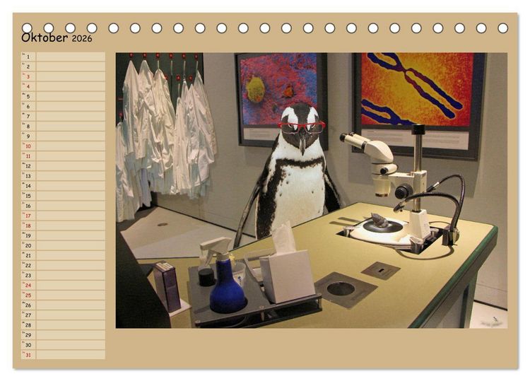 Produktbild: Pinguine privat Planer (Tischkalender 2026 DIN A5 quer), CALVENDO Monatskalender