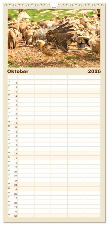 Produktbild: Familienplaner 2026 - Die Geier sind los mit 5 Spalten (Wandkalender, 21 x 45 cm) CALVENDO