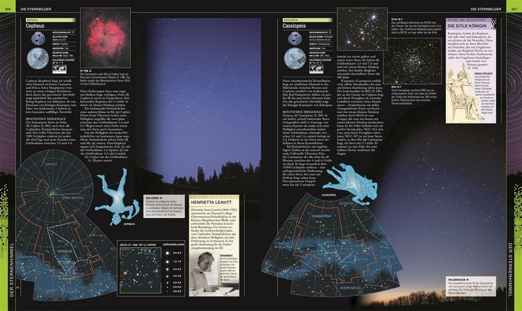 Universum