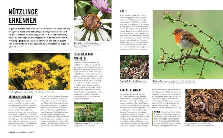Produktbild: Gr&uuml;nes Gartenwissen. Krankheiten und Sch&auml;dlinge