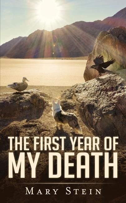 Produktbild: The First Year of My Death