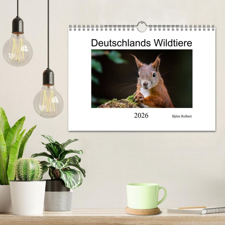 Produktbild: Deutschlands Wildtiere (Wandkalender 2026 DIN A4 quer), CALVENDO Monatskalender